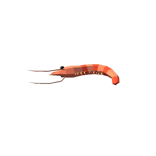 Shrimp A